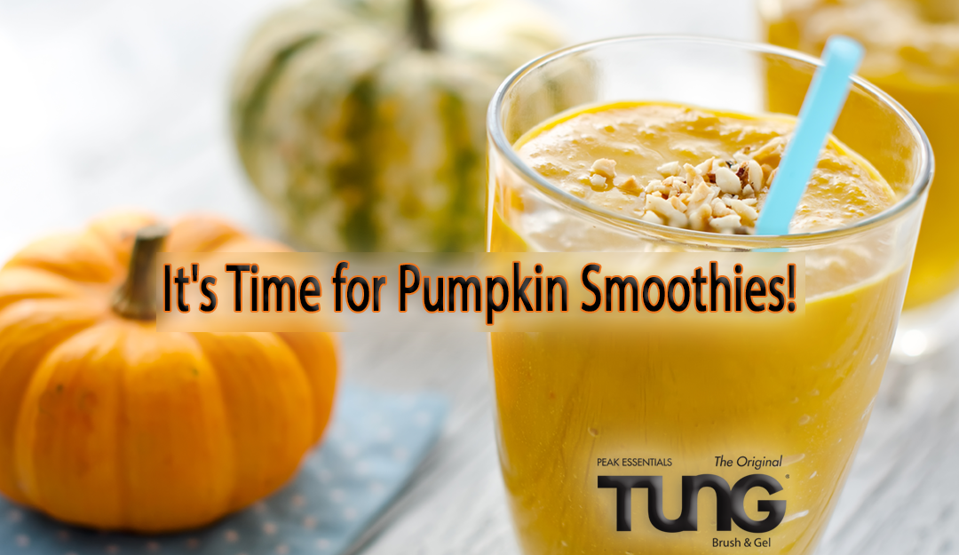 Easy and Healthy Pumpkin Spice Smoothie