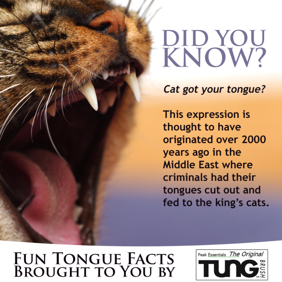 Cat Got Your Tongue?