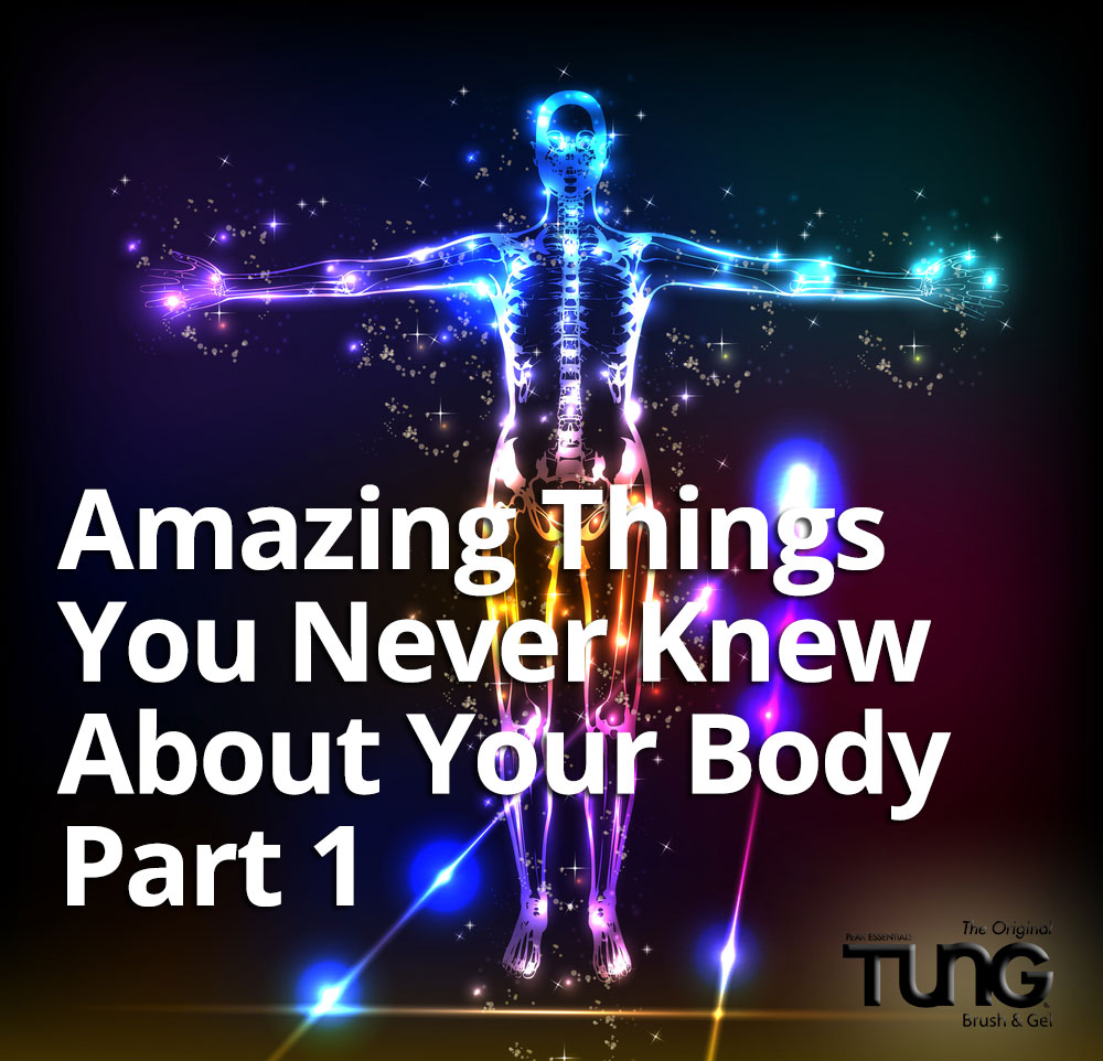 Amazing Things You Never Knew About Your Body Pt 1