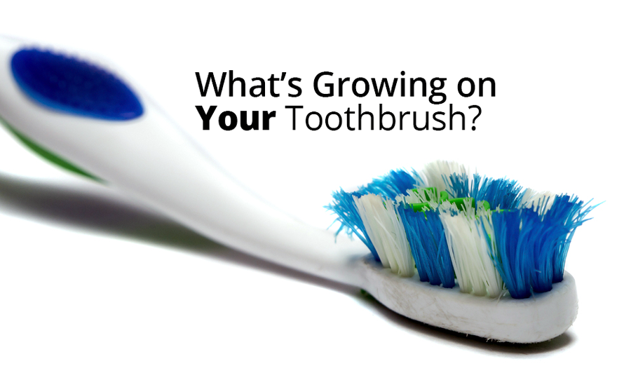 What's Growing on Your Toothbrush?